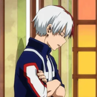 Todoroki Shoto ؛ @Packies telegram stickers