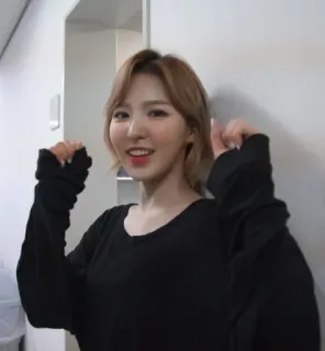 🍋 Wendy Son wendy, son seungwan, red velvet, kpop, cantante, idol, donna, coreana, ritratto whatsapp sticker
