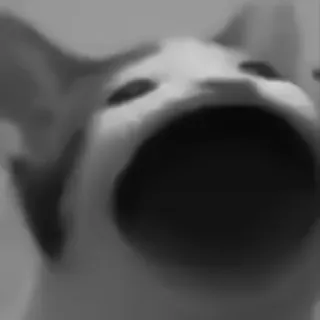 🐈‍⬛️ кот, мем, Pop Cat, животное, смешной telegram sticker