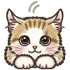 🐈