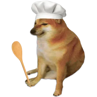 🐶 Doge, หมา, เชฟ, ทำอาหาร, มีม, ช้อน, มีมอินเทอร์เน็ต, ชิบะ อินุ whatsapp sticker