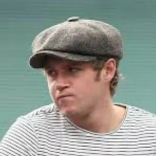 🍕 Niall Horan певец, музыкант, портрет, человек, знаменитость, One Direction telegram sticker