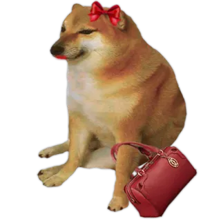 💄 犬, Cheems, Doge, 赤いリボン, 財布, 動物 telegram sticker