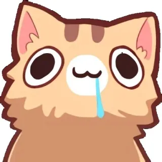 🗣 gato, animal, fofo, desenho animado, adesivo, chorando whatsapp sticker