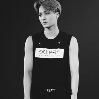 🌑 EXO PLANET K-pop, Exo, Idol, Musik, Asia, Penyanyi telegram sticker