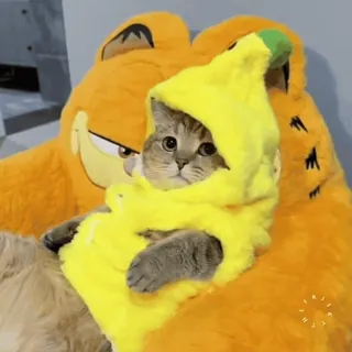 🐱 Garfield telegram sticker