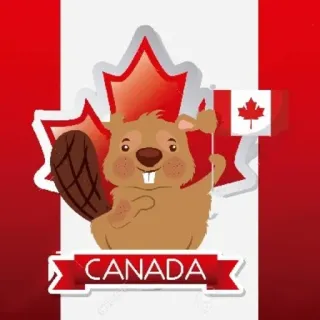 🇨🇦 CANADA Canadá, Bandera canadiense, Castor, Hoja de arce, Orgullo canadiense telegram sticker
