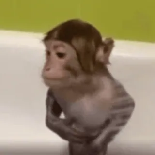🐵 Affe, Tier, Niedlich, Denken, Nachdenklich whatsapp sticker