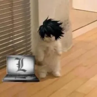 📓 L Lawliet Death Note cat, anime, death note, character, l lawliet, funny telegram sticker
