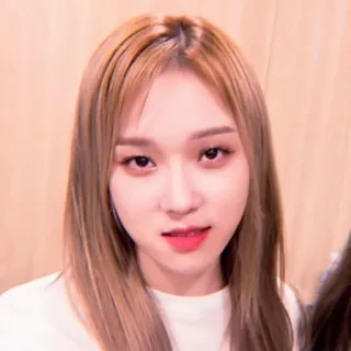 🌸 whatsapp sticker