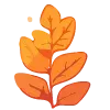 🍂