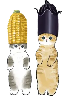 🌽 kucing, anak kucing, jagung, terong, binatang, lucu, kawaii, hewan peliharaan telegram sticker