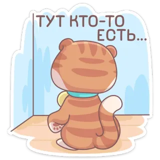 🤨 ТУТ КТО-ТО ЕСТЬ... кот, животное, милый, мультфильм, наклейка telegram sticker