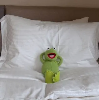👑 Kermit Kermit the Frog, Muppets, plush, frog, toy, puppet telegram sticker