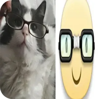 👓 mèo, kính, động vật, dễ thương, thú cưng, nhãn dán, hoạt hình telegram sticker