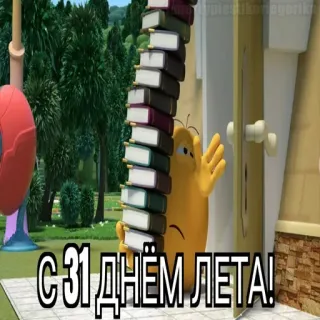 😱 С 31 ДНЁМ ЛЕТА! cartoni animati, libri, estate, saluti whatsapp sticker