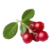 🍒