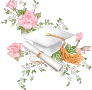 🌸 graduation, flowers, diploma, cap, celebration whatsapp sticker