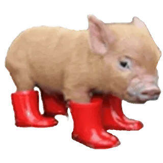 👢