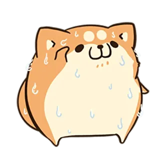 🐶 Hund, Schweiß, süß, Shiba Inu, Tier, Cartoon, erschöpft, heiß telegram sticker