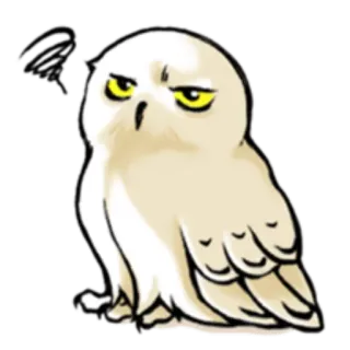 😐 owl, angry, cartoon, bird, cute telegram sticker