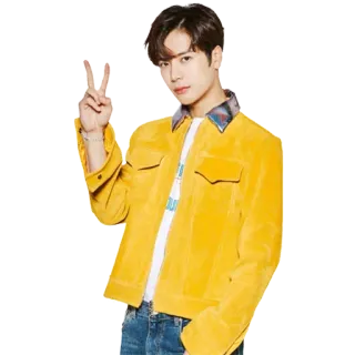 ✌️ man, yellow jacket, peace sign, portrait, asian telegram sticker