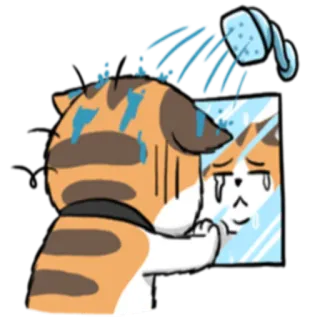 🚿 кот, душ, грустный, зеркало, мультфильм, животное telegram sticker
