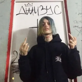 🖕 ДШИУЗУС 사람, 가운데 손가락, 불쾌한 telegram sticker