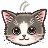 🐱