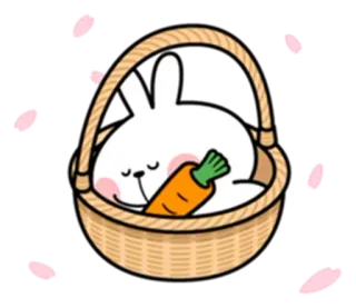 🥕 coelho, cenoura, cesta, fofo, sonolento, dorminhoco telegram sticker