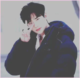 🥂 korean, actor, male, peace sign, celebrity telegram sticker