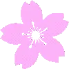 🌸