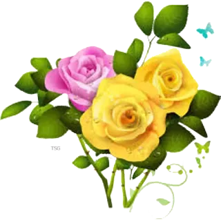 🌸 rosas, flores, rosa rosa, rosa amarela, floral, buquê, natureza, borboletas telegram sticker