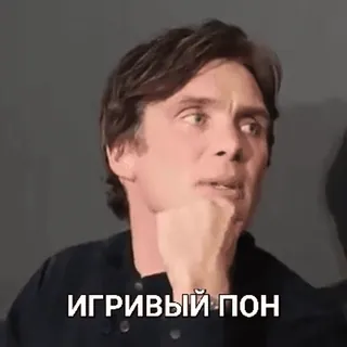🥵 ИГРИВЫЙ ПОН มีม, ตลก, ขำขัน, คิลเลียน เมอร์ฟี, ปฏิกิริยา, รัสเซีย telegram sticker