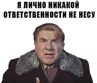 🤗 Я ЛИЧНО НИКАКОЙ ОТВЕТСТВЕННОСТИ НЕ НЕСУ telegram sticker