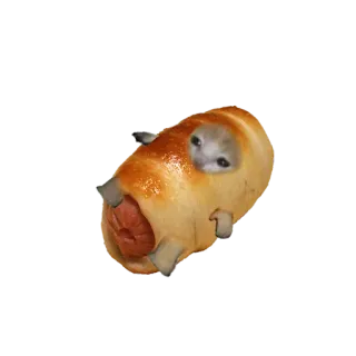 ❤️ cat, hotdog, bread, animal, meme telegram sticker
