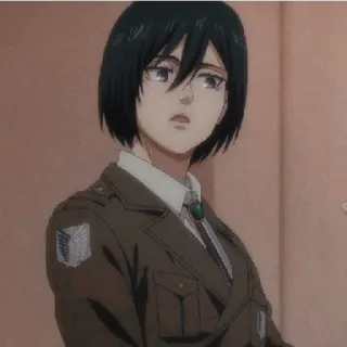 😁 Mikasa Ackerman Attack on Titan 动漫, 士兵, 角色, 军事, 进击的巨人, 三笠 whatsapp sticker