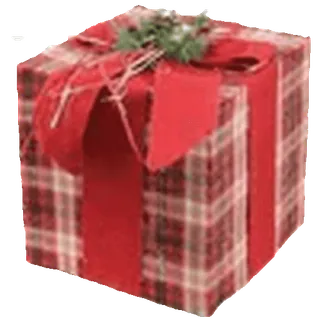 🎁