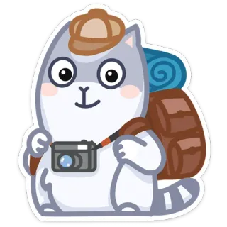 ✈️ gato, viagem, mochila, câmera, adesivo, fofo, aventura whatsapp sticker