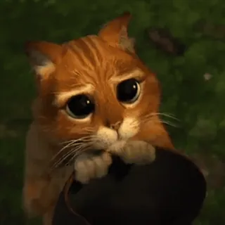 🥺 Puss in Boots Katze, süß, Augen, Der gestiefelte Kater, Dreamworks, animiert telegram sticker