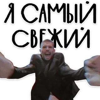 😎 Я САМЫЙ СВЕЖИЙ мужчина, русский, смешной, свежий telegram sticker