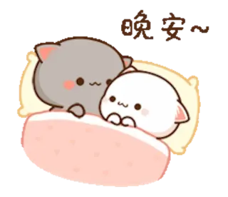 🛏 chats, dormir, mignon, kawaii, adorable, animaux whatsapp sticker