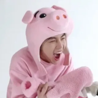 🐽 maiale, costume, rosa, animale, persona, felice, carino whatsapp sticker