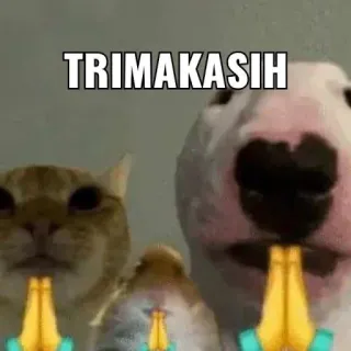 awikwok whatsapp stickers