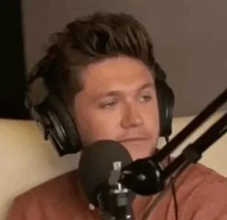 🎸 Niall Horan Pessoa, Celebridade, Cantor, Retrato, Niall Horan, One Direction telegram sticker