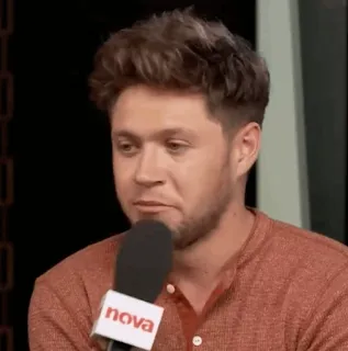 🎸 Niall Horan Niall Horan, cantor, One Direction, celebridade telegram sticker