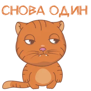 Meow sticker telegram stickers