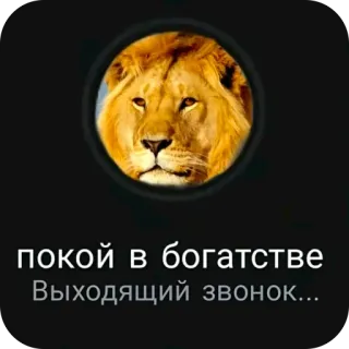 🫥 покой в богатстве Выходящий звонок... lion, call, wealth, peace, avatar, portrait, serenity telegram sticker