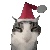 TikTok Memes @TgEmojis telegram emojis 🎄