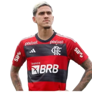 😍 pixbet
CRF
SILE
banco
BRB soccer player, football player, athlete, sports, Flamengo, Brazilian club telegram sticker